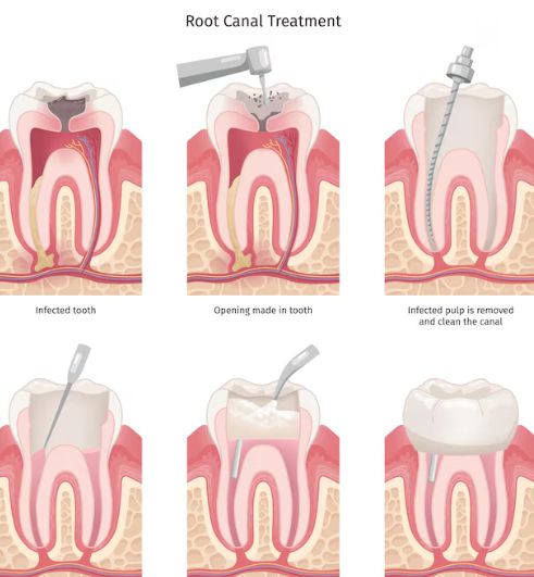 Dental Specialist